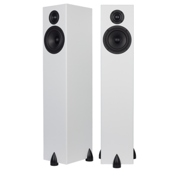 Enceinte colonne Totem Bison Tower