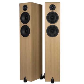 Enceinte colonne Totem Bison Twin Tower