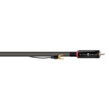 Câble XLR Wireworld Equinox 10 Tonearm Cable