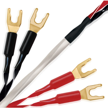 Câble d'enceinte Wireworld Luna 10 Haut-Parleurs Biwire 