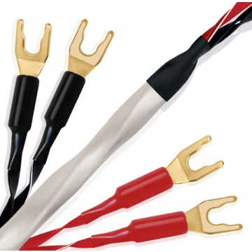 Câble d'enceintes Wireworld Solstice 10 Haut-Parleurs Biwire 