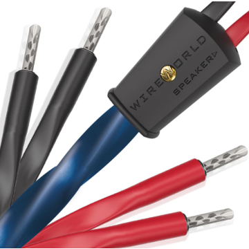 Câble d'enceintes Wireworld Oasis 10 Haut-Parleurs Biwire