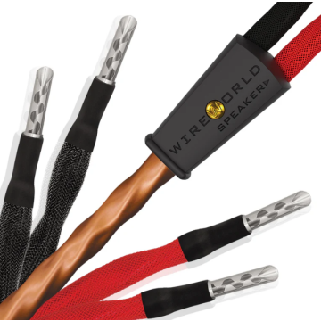 Câble d'enceintes Wireworld Mini Eclipse 10 Haut-Parleurs Biwire
