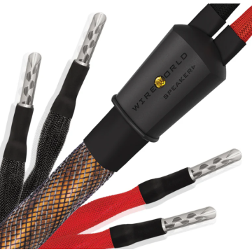 Câble d'enceintes Wireworld Eclipse 10 Haut-Parleurs Biwire