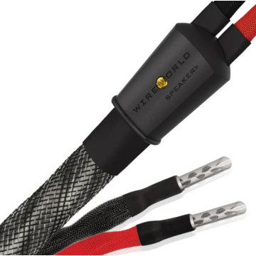 Câble d'enceintes Wireworld Silver Eclipse 10 Haut-Parleurs