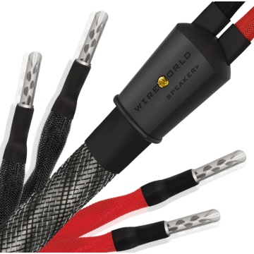 Câble d'enceintes Wireworld Silver Eclipse 10 Haut-Parleurs Biwire