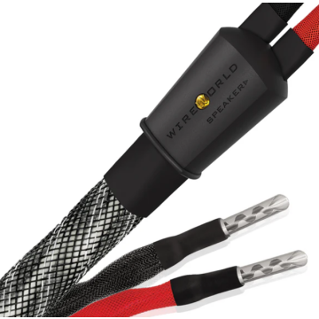 Câble d'enceintes Wireworld Platinum Eclipse 10 Haut-Parleurs