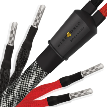 Câble d'enceintes Wireworld Platinum Eclipse 10 Haut-Parleurs Biwire