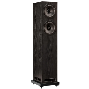 Enceinte colonne Fyne Audio F501E