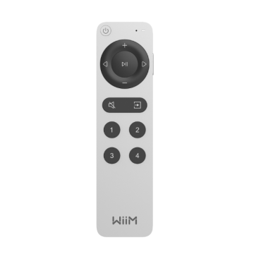 Wiim Voice Remote 2