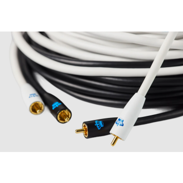 Câble pour caisson de basses REL Commander