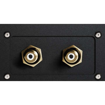 Carte DAC Innuos Performance DAC Board