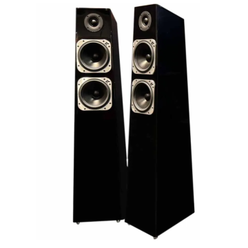 Enceintes colonnes Totem Tribe Tower Thunderbird 