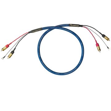 Câble phono Cardas Clear Beyond Phono