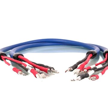 Câble haut-parleur Cardas Clear Beyond Speaker Bi-Wire