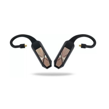 Ecouteurs bluetooth iFi Audio Go Pod 