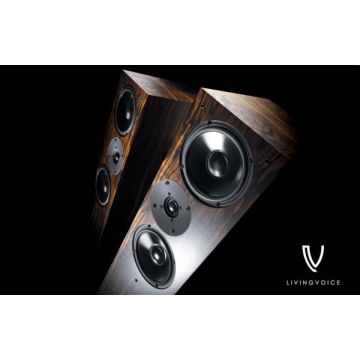 Living Voice Auditorium IBX-RW4