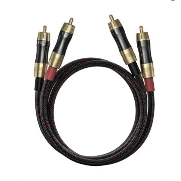 Fiio LR-RCA2