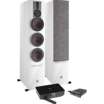 Système complet Dali Rubicon 8 C + BluOs Sound Hub