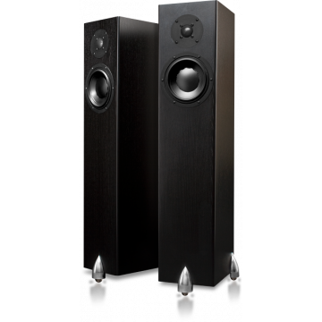 Enceintes colonnes Totem Forest