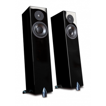 Enceintes colonnes Totem Forest Signature