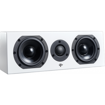 Enceinte Totem Kin Flex