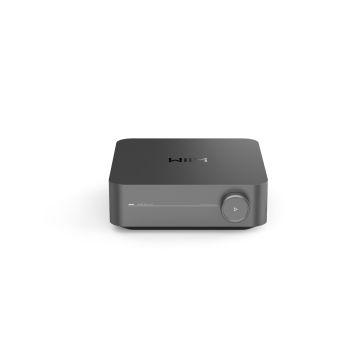 Wiim Amp Pro