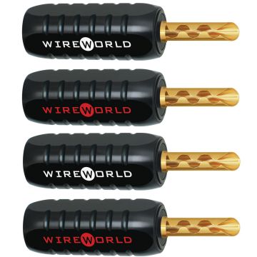 Wireworld Fiches Bananes