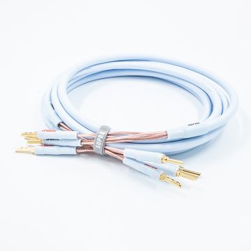 Câble haut-parleurs Supra Cables XL Annorum