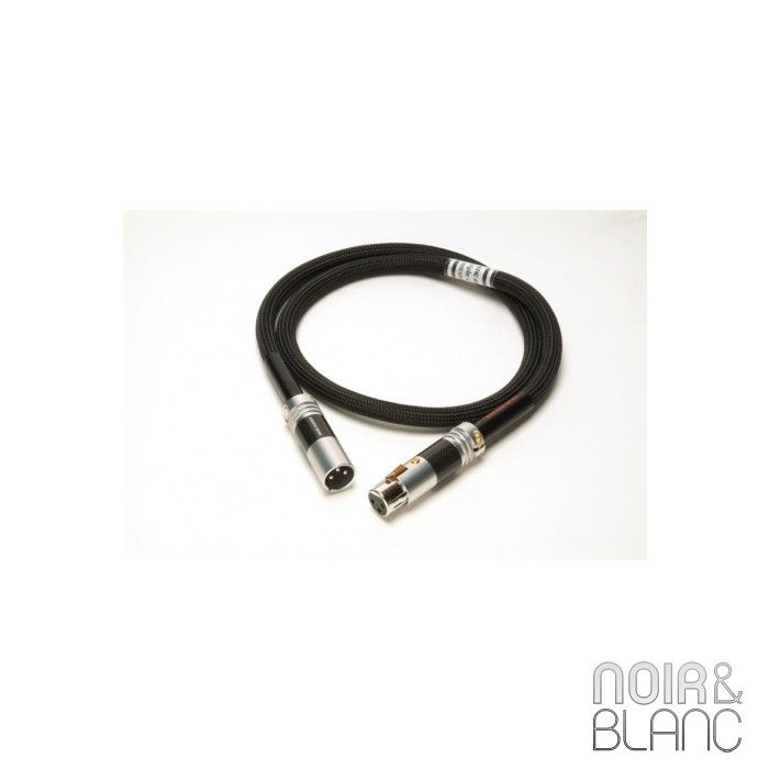 Acoustic Revive AES ABSOLUTE Numérique main product photo