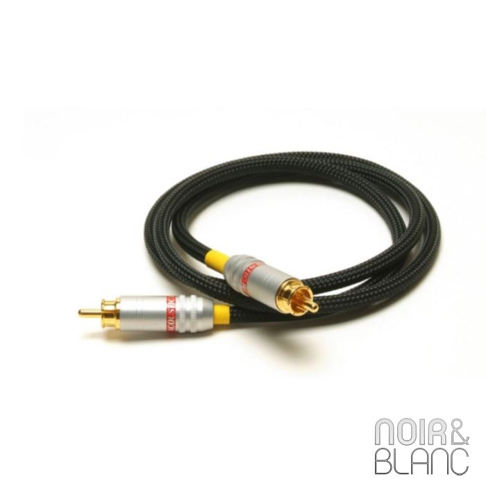 Acoustic Revive digital 1.0R tripleC FM RCA main product photo