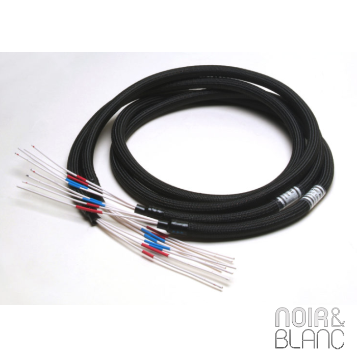 Acoustic Revive SPC Câble HP main product photo
