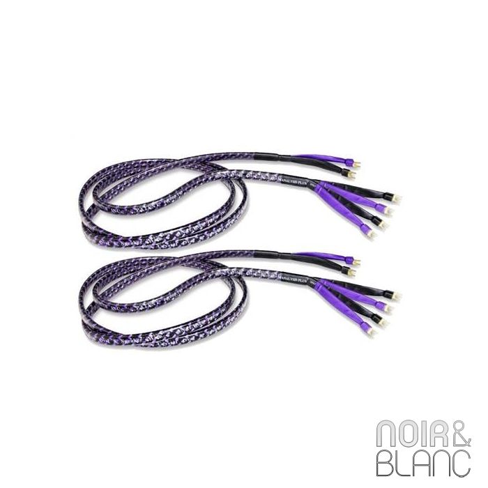 Analysis Plus Bi-Solo Crystal Oval 8 main product photo