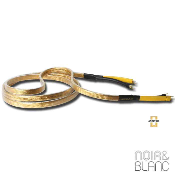 Analysis Plus Golden Oval Speaker main product photo