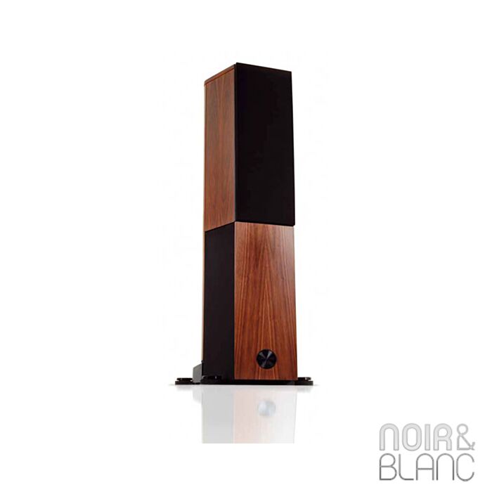 Audio Physic Cardeas main product photo
