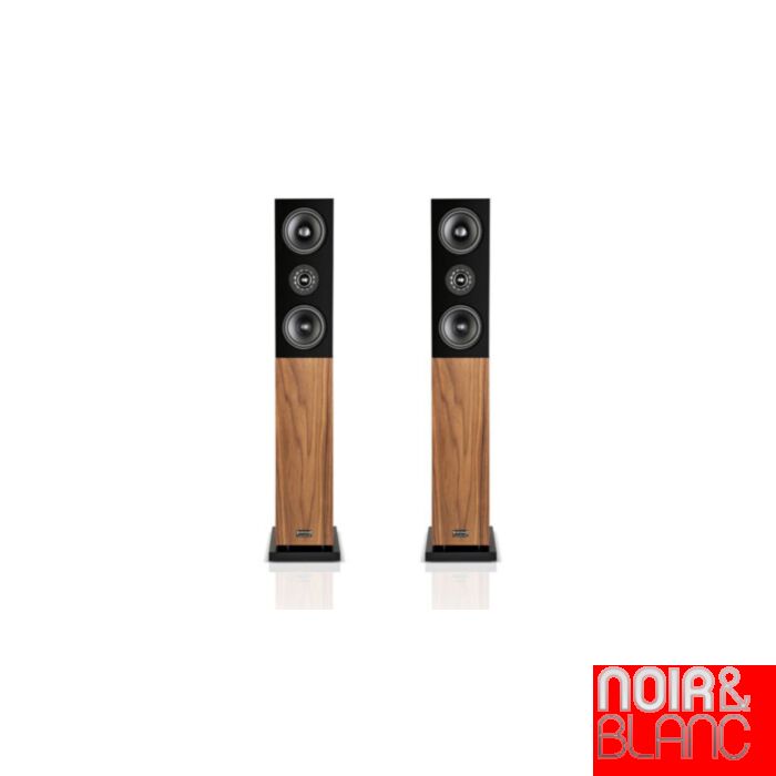 Audio Physic Classic 10 main product photo