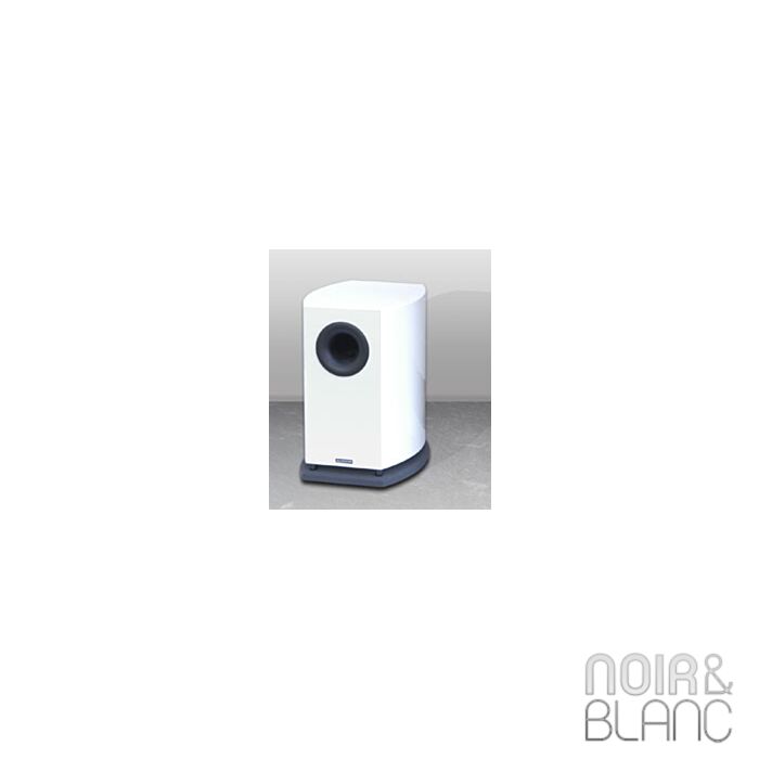 Audium Subwoofer main product photo