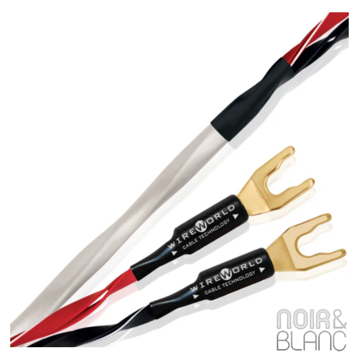 Wireworld Luna 8 Haut-parleurs main product photo