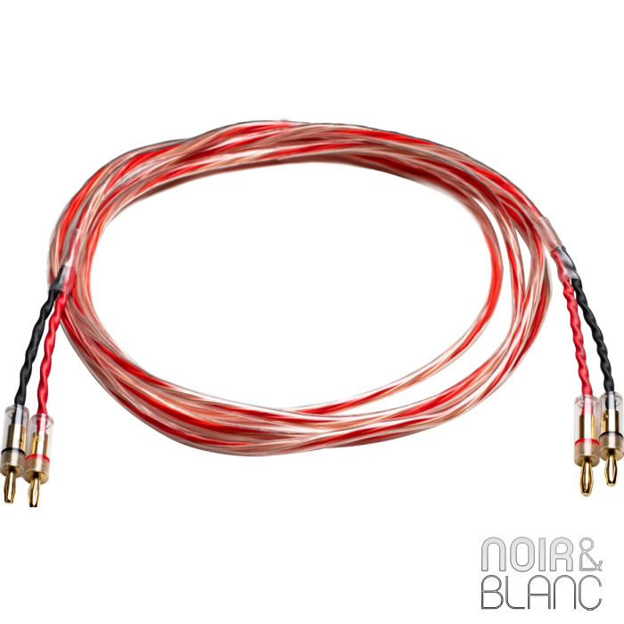 Pro-Ject Connect it LS E main product photo