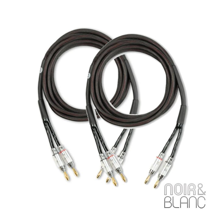Pro-Ject Connect it LS S main product photo