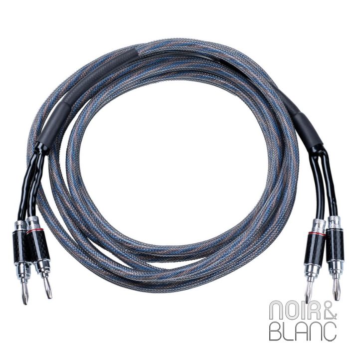 Pro-Ject Connect it LS RS main product photo