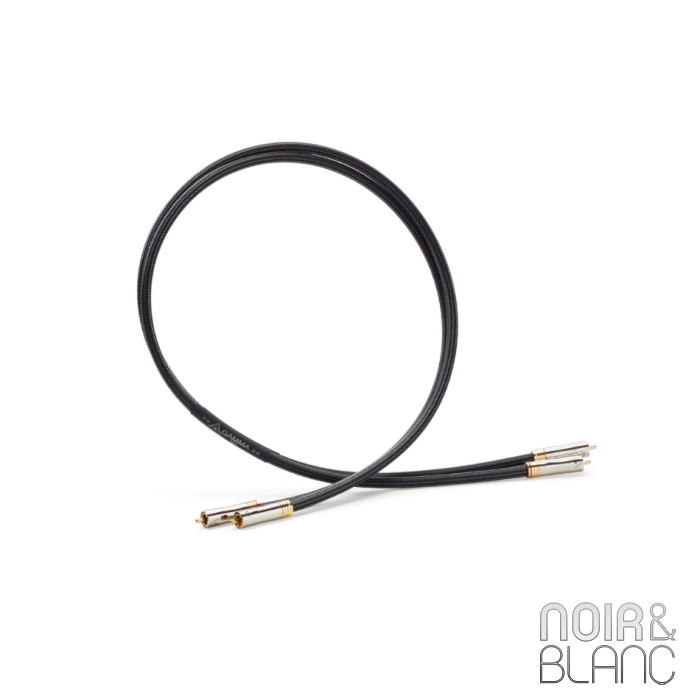 Shunyata Research Gamma RCA main product photo