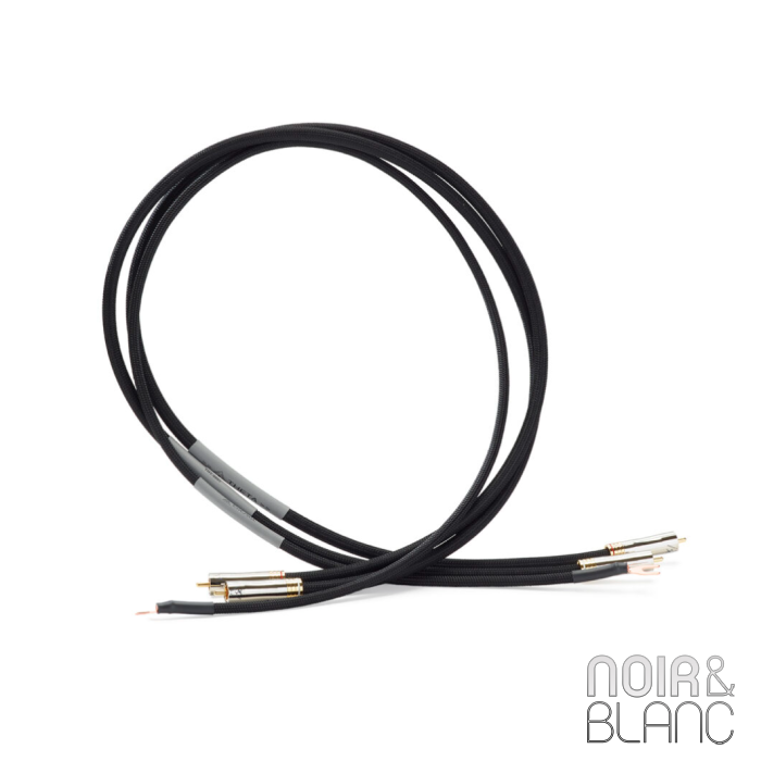 Shunyata Research Theta RCA Phono main product photo