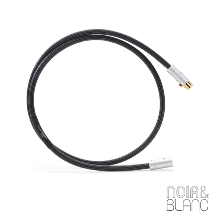 Shunyata Research Gamma AES/EBU main product photo
