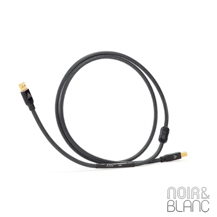 Shunyata Research Gamma USB main product photo