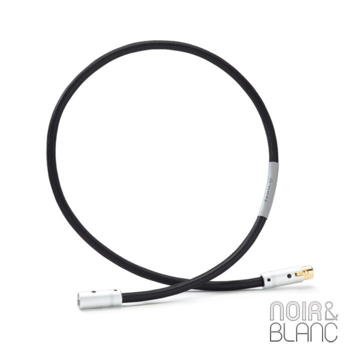 Shunyata Research Theta AES/EBU main product photo