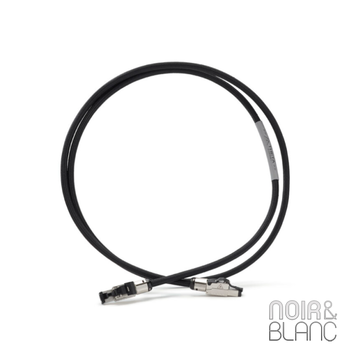 Shunyata Research Theta Ethernet main product photo