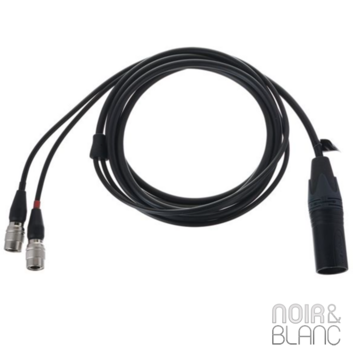 Dan Clark Audio ÆON 2 Closed Noire-1,8m 4-pin XLR DUMMER Cable main product photo