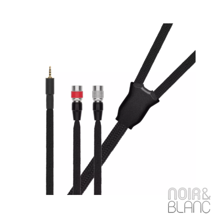 Dan Clark Audio ÆON 2 Closed Noire-1,1m-2.5mm VIVO Super-premium Cable main product photo