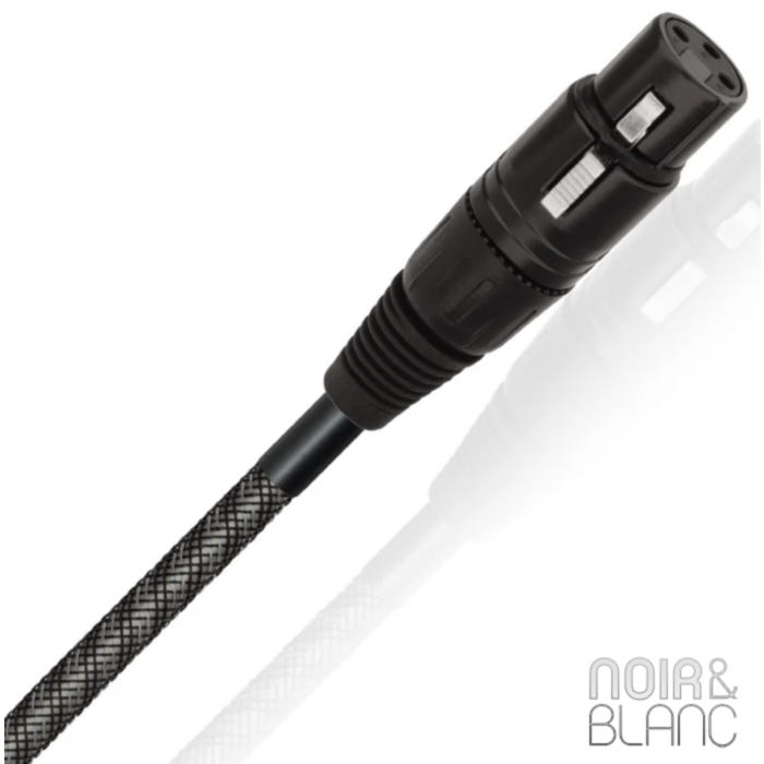 Wireworld Micro Silver Eclipse 10 Balanced Digital main product photo